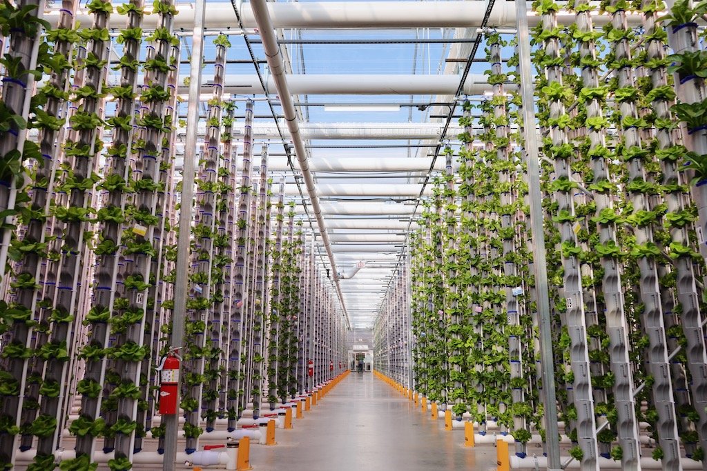 The great indoors: Why companies, nonprofits are turning to vertical farms to boost North Texas food supply