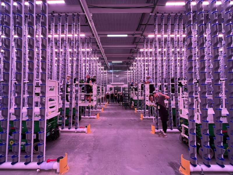 Dallas agricultural company Eden Green opens new vertical greenhouse in Cleburne