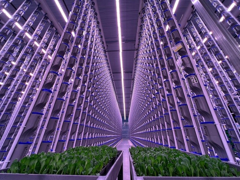 Texas’s First Vertical Farm Company Unveils New Facility