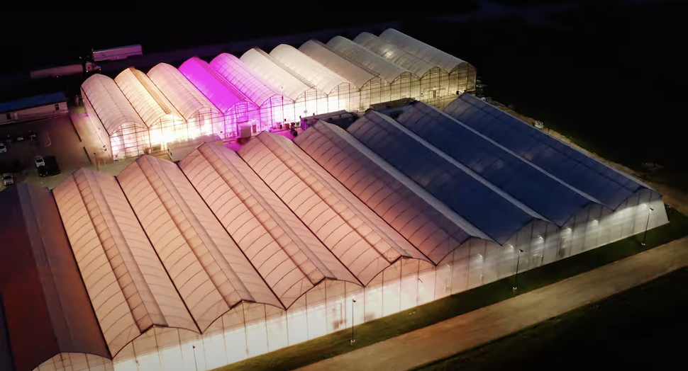 The Last Word: Eden Green’s Eddy&nbsp;Badrina on the Need for Vertical Farming
